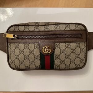 Gucci Ophidia Belt Bag